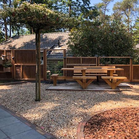 Veluwe Vakantiehuis - Bosuil Lodge ルンテレン エクステリア 写真