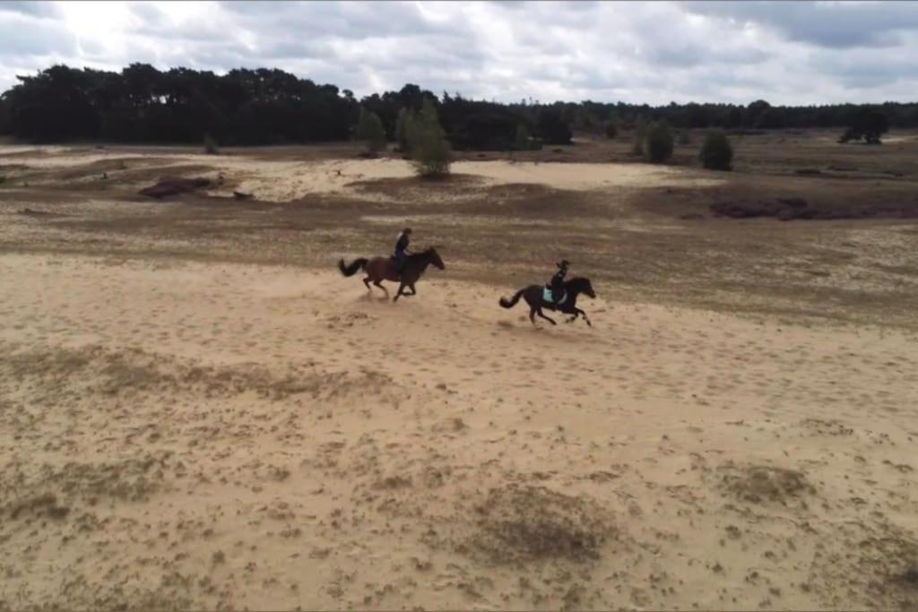 Veluwe Vakantiehuis - Bosuil Lodge ルンテレン エクステリア 写真