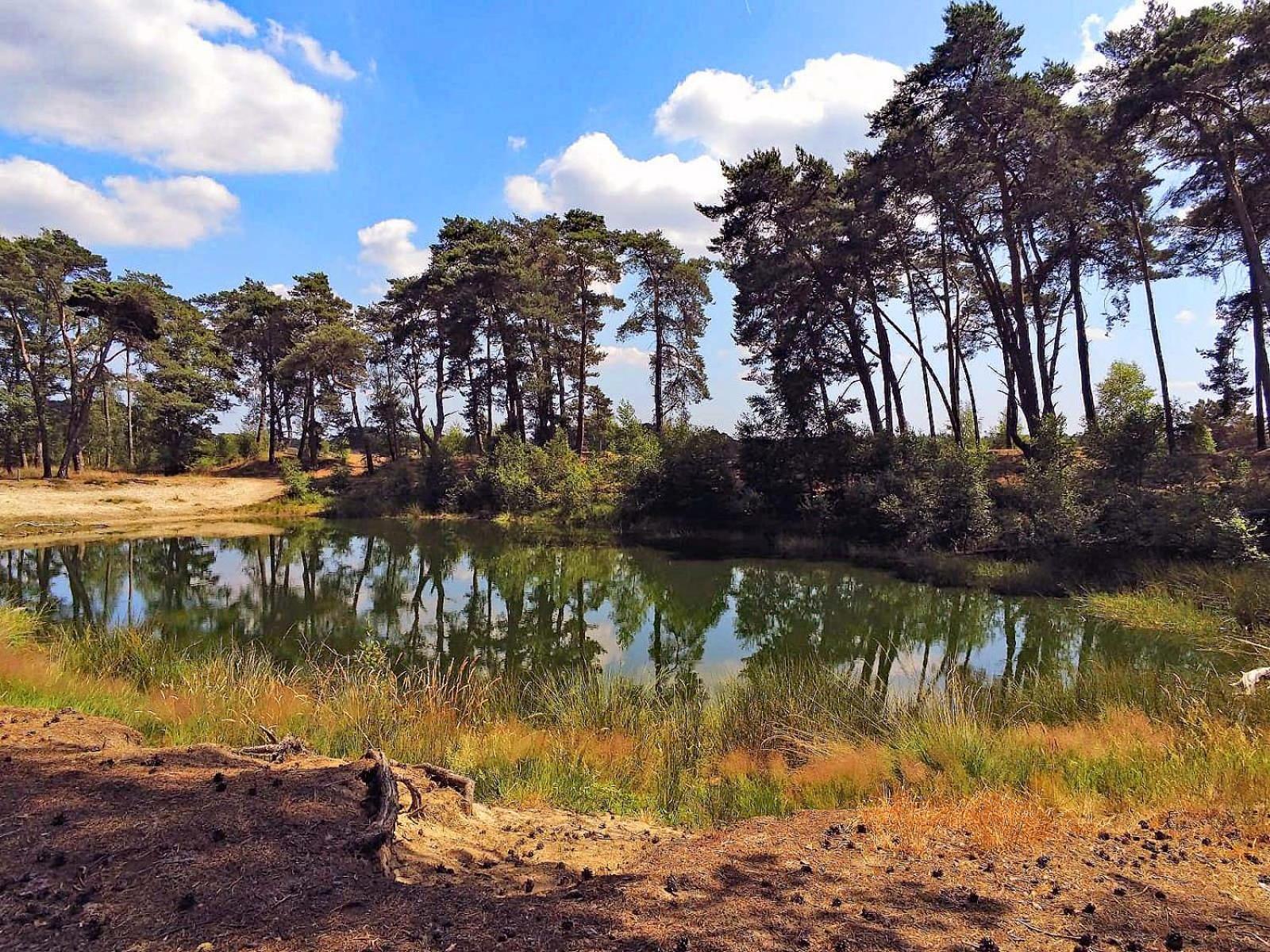 Veluwe Vakantiehuis - Bosuil Lodge ルンテレン エクステリア 写真
